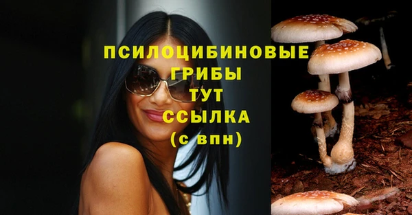 mix Вяземский