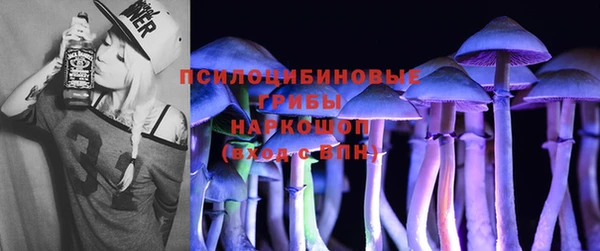шишки Вязьма