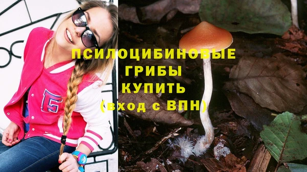 шишки Вязьма