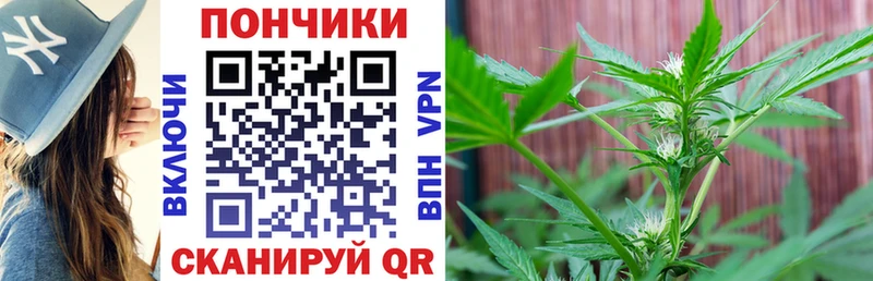 как найти закладки  нарко площадка какой сайт  Бошки марихуана план  Саяногорск 